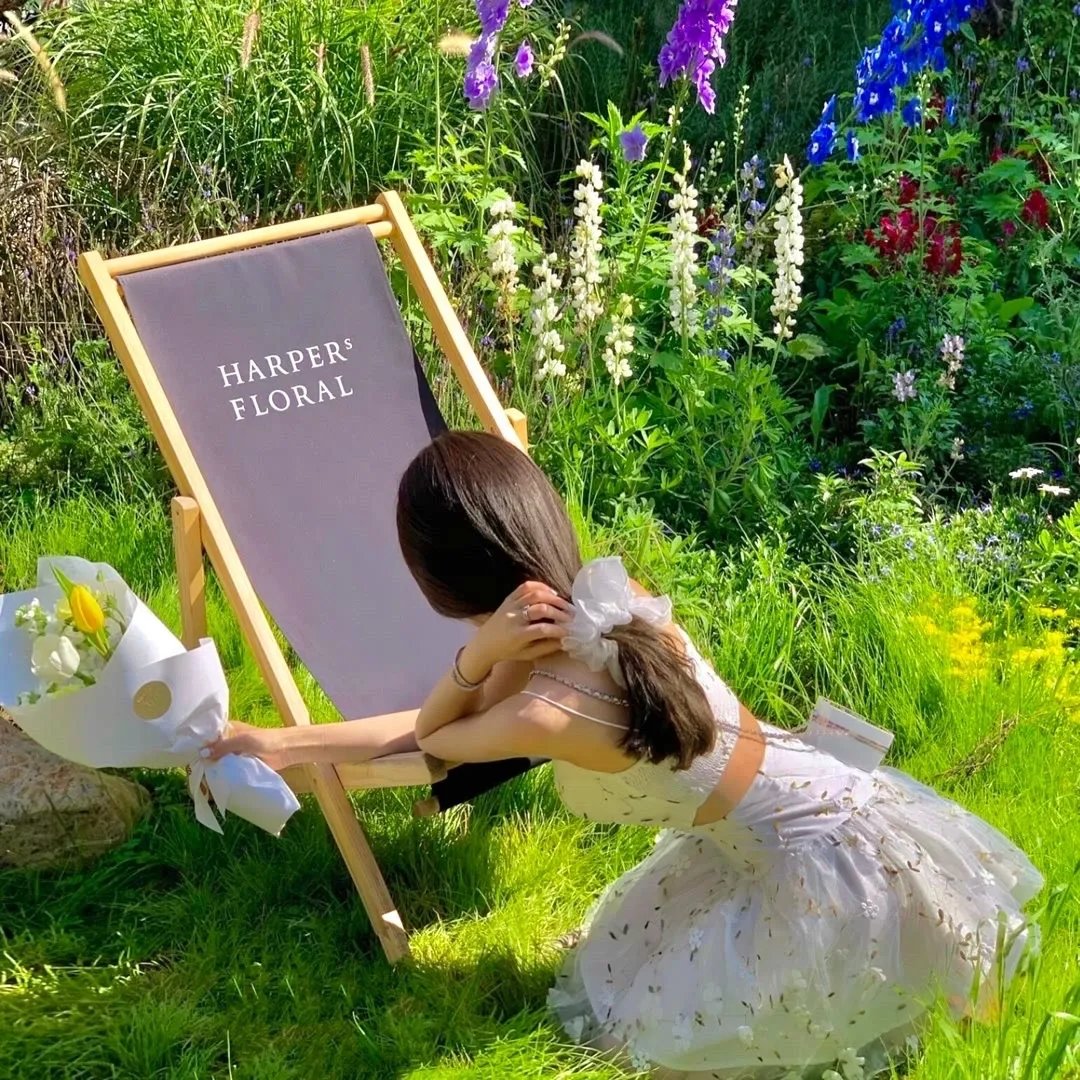 吻我吧,青蛙王子